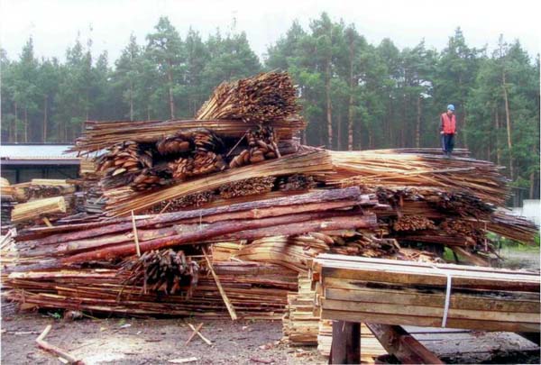 Бизнес-план лесозаготовки и деревообработки